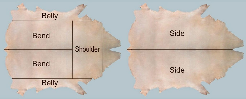 leather-hide-cut-selections-diagram